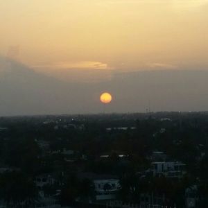 Meet your Posher, Elaine